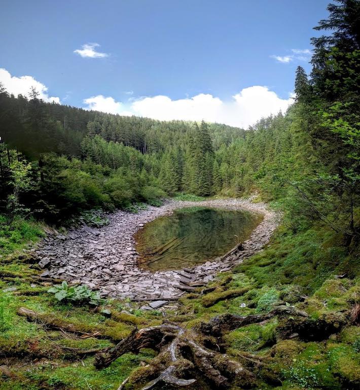 Affittacamere 12 Months Estate Myslovka Esterno foto
