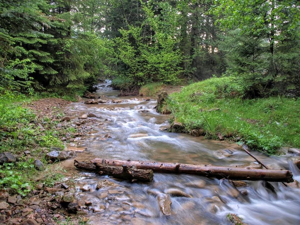 Affittacamere 12 Months Estate Myslovka Esterno foto